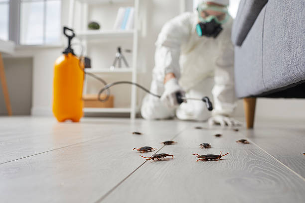 Commercial Kitchen Cockroach Control in Williamsport